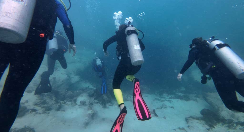 A group of people scuba dive with large tanks on their backs